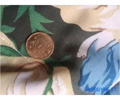 premium coin