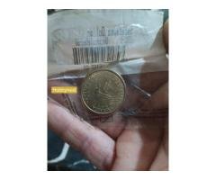 sacaguwea dollar - Image 2