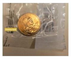 sacaguwea dollar - Image 2